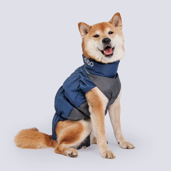 Жилетка с мембраной и подкладкой для собак, спина 38 см, грудь 62 см, серо-синяя (мальчик)