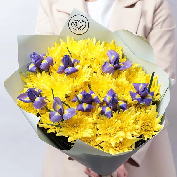 Букет из 9 жёлтых кустовых хризантем и 8 ирисов в зеленой пленке