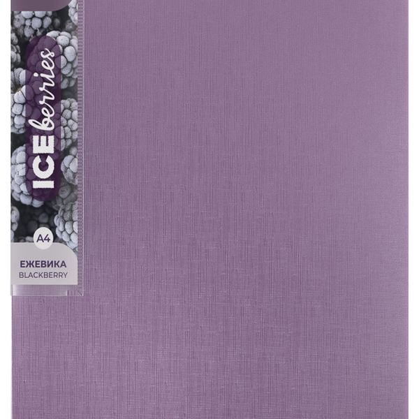 Папка Expert Complete с металлическим зажимом Ежевика А4