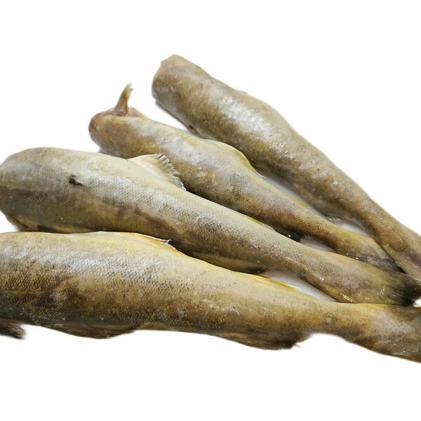 Навага дальневосточная тушки без головы заморожена