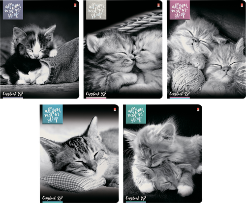 

Тетрадь Альт Котята Мур-мур А5 48 листов 1 шт в ассортименте