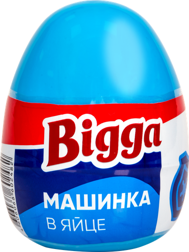

Набор игровой Bigga Машинка в яйце, 2 предмета, Арт. B1196088/B1196090