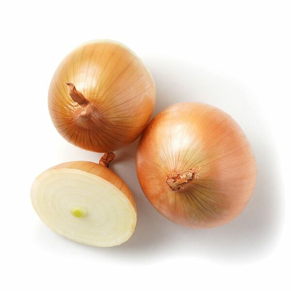 Лук репчатый