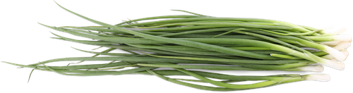 

Лук зеленый вес