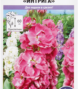 Семена РУССКИЙ ОГОРОД Парфюм, Левкой Интрига F1, 3г