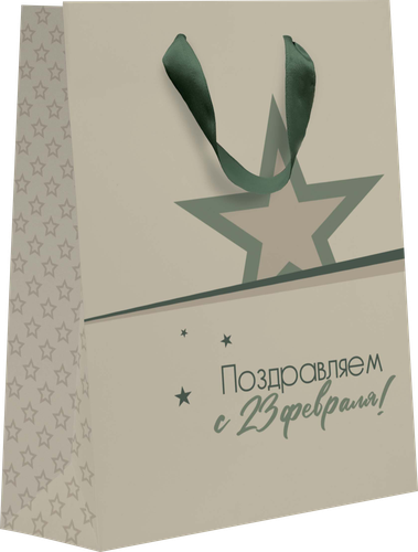 

Пакет подарочный Kvant 7, 41х31х10см, размер XL, в ассортименте