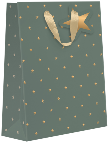 

Пакет подарочный Military премиум, 31,5х25,5х11см, в ассортименте