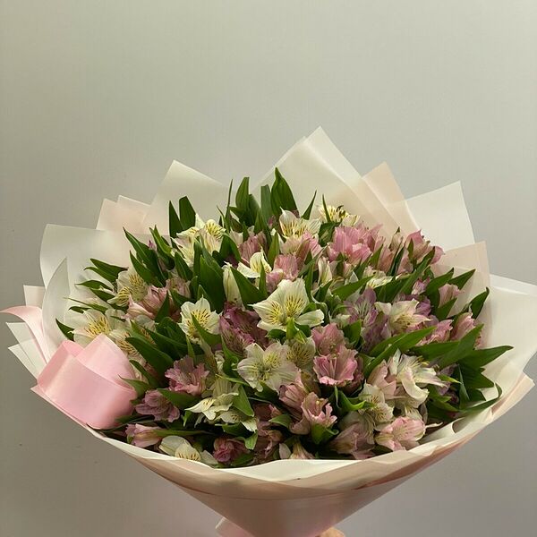 Альстромерия