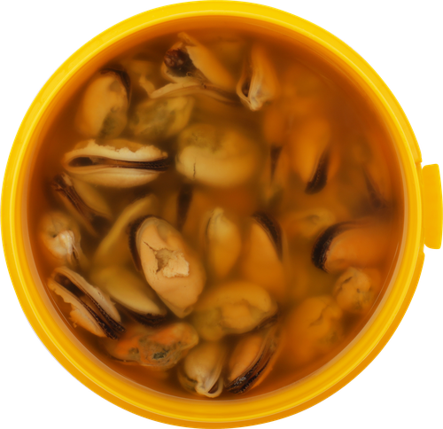 

Мидии Русское море Классик чилийские в растительном масле