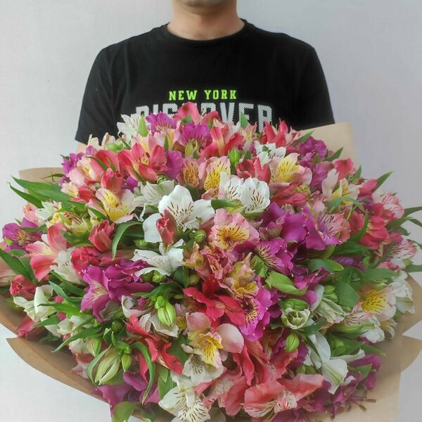 Букет из 51 альстромерий микс