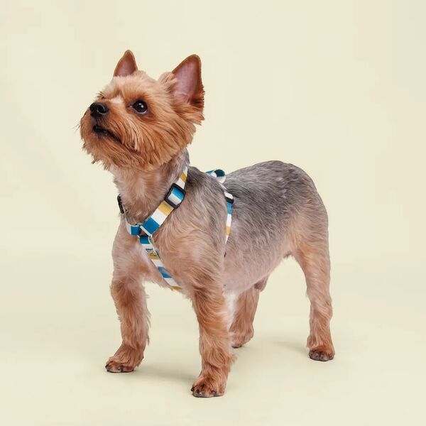 Шлейка для собак и кошек Аквамарин, S, 30х45 см, песочно-синяя в полоску