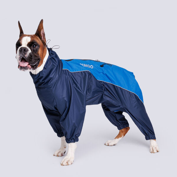 Дождевик с мембраной и резиновой молнией для Стаффорд Терьера, 5XL, синяя гавань (мальчик)
