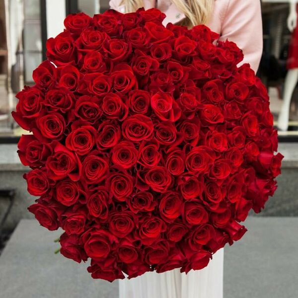 101 Голландская роза