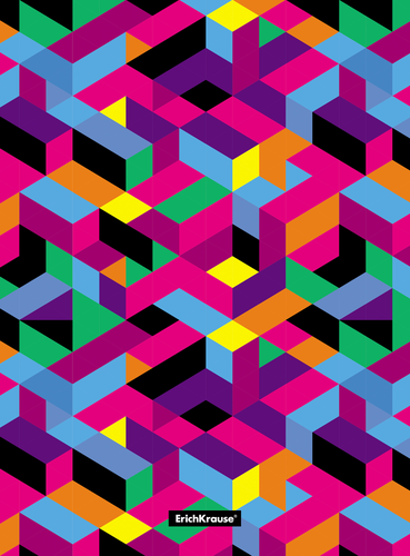 

Папка ERICH KRAUSE Disco Style A4 пластиковая, с боковым зажимом Арт. 49382