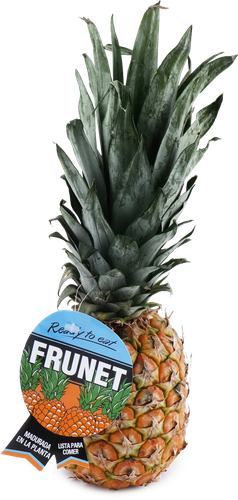 

Ананас Frunet вес до 2.5 кг
