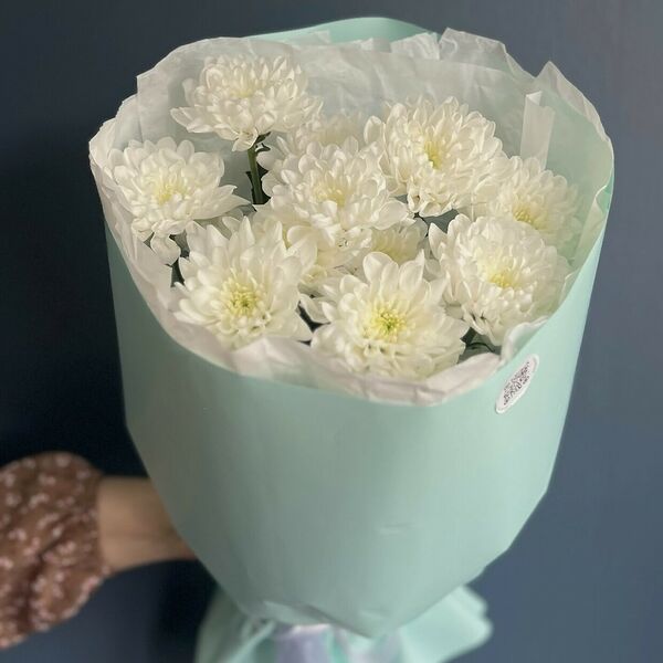 МОНО | кустовая хризантема