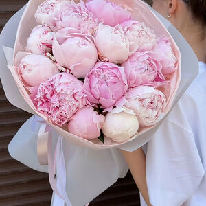 Пионы Сара Бернар