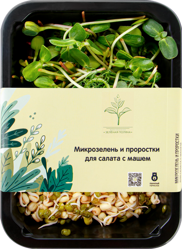 

Микрозелень и проростки для салата, с машем 90 г