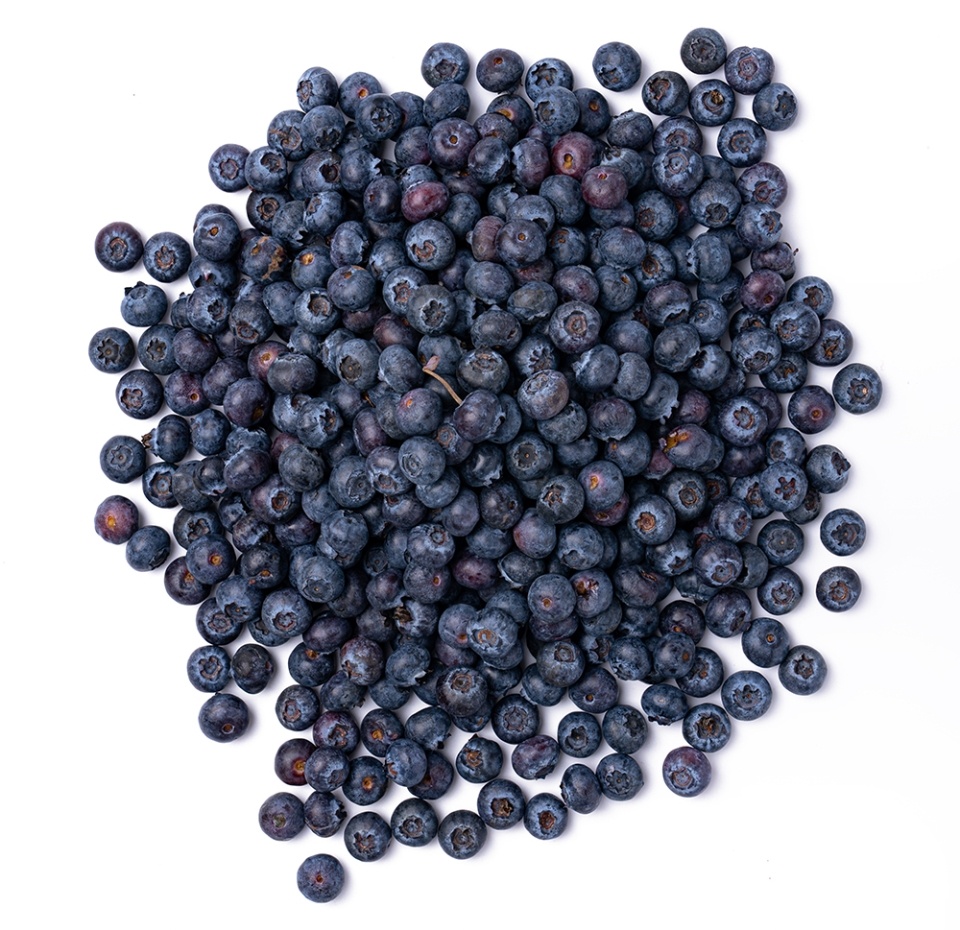 

Голубика «Марокко» 1 кг