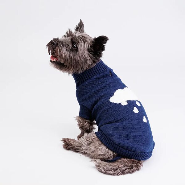 Свитер для собак, 40 см, синий с облачком