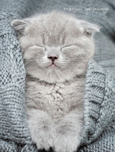 

Дневник для средних и старших классов LISTOFF A5, 48 листов, ассортимент