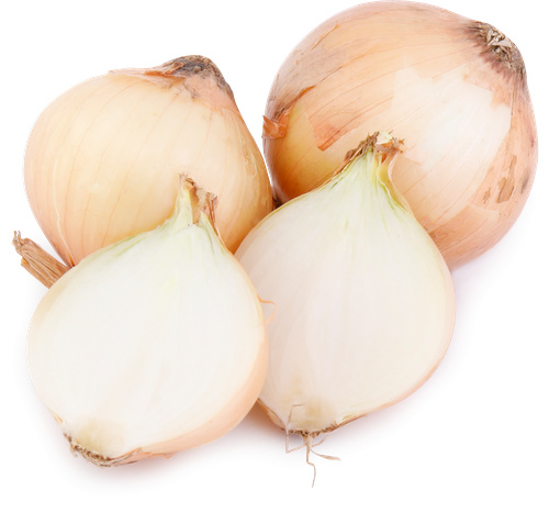 

Лук репчатый новый урожай вес