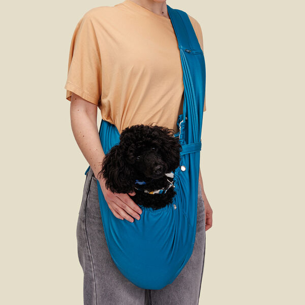 Слинг-переноска Аквамарин для кошек и собак, двусторонний, с застежкой для ошейника, 28х40х23 см