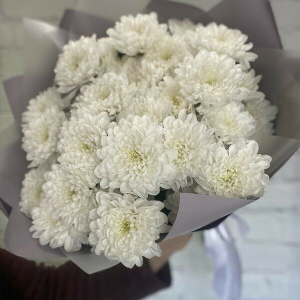 Белые хризантемы кустовые #49