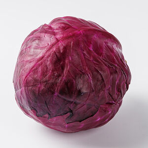 Капуста краснокочанная