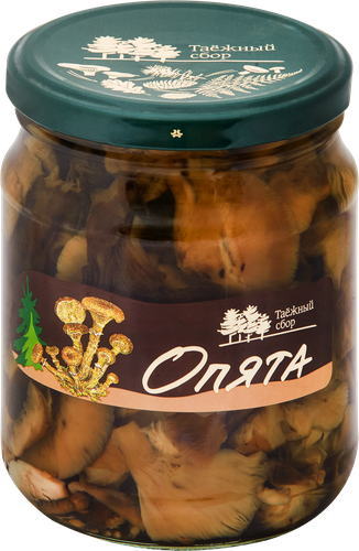 

Опята маринованные Таёжный сбор 500 г