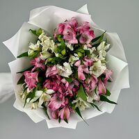 Изображение 6