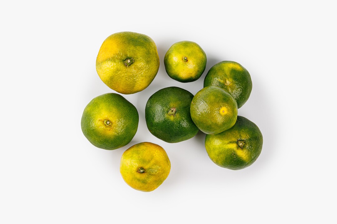 

Мандарины Новый урожай весовые