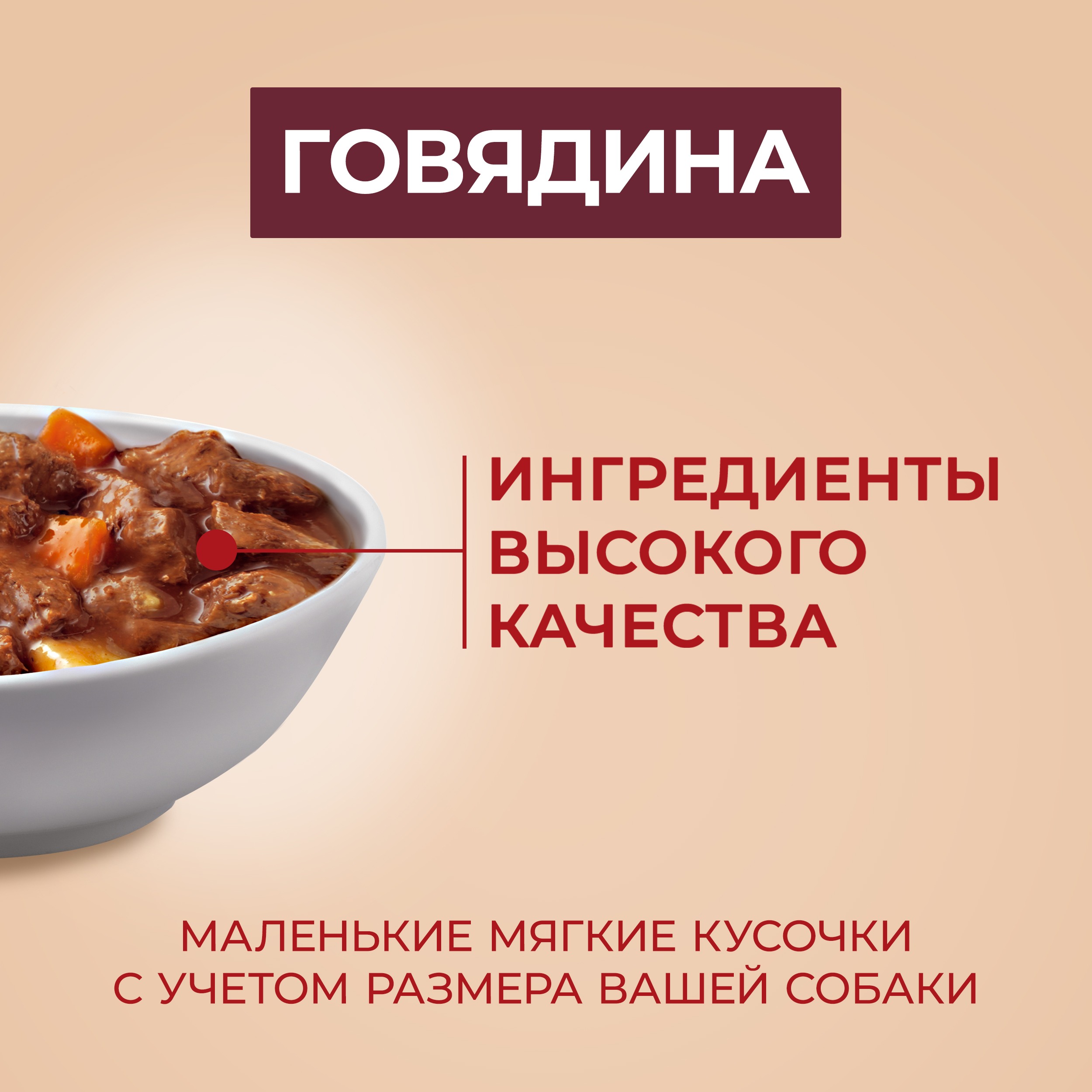

Влажный корм Purina One Мини Активная взрослых собак мелких и карликовых пород с говядиной картофелем и морковью в подливе 85 г