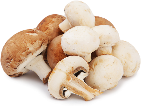 

Грибы для супа пюре весовые