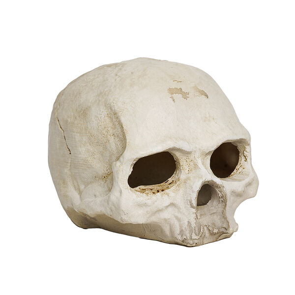 Череп AquaFantasy 11.5х8.5х8.5 см