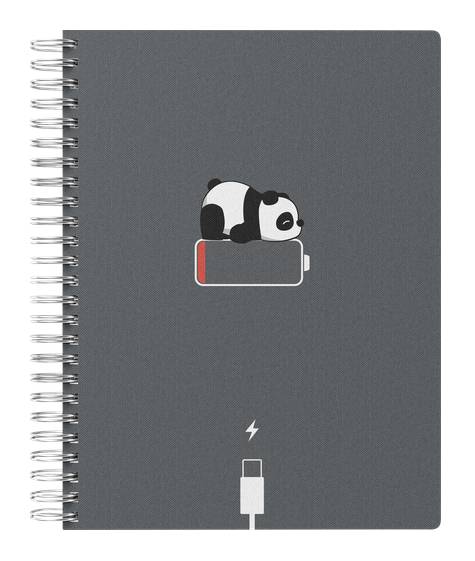 

Тетрадь Dreamfox в клетку, на спирали, А5, 80 листов