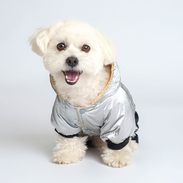 Комбинезон для собак Rurri M, серебряно-черный