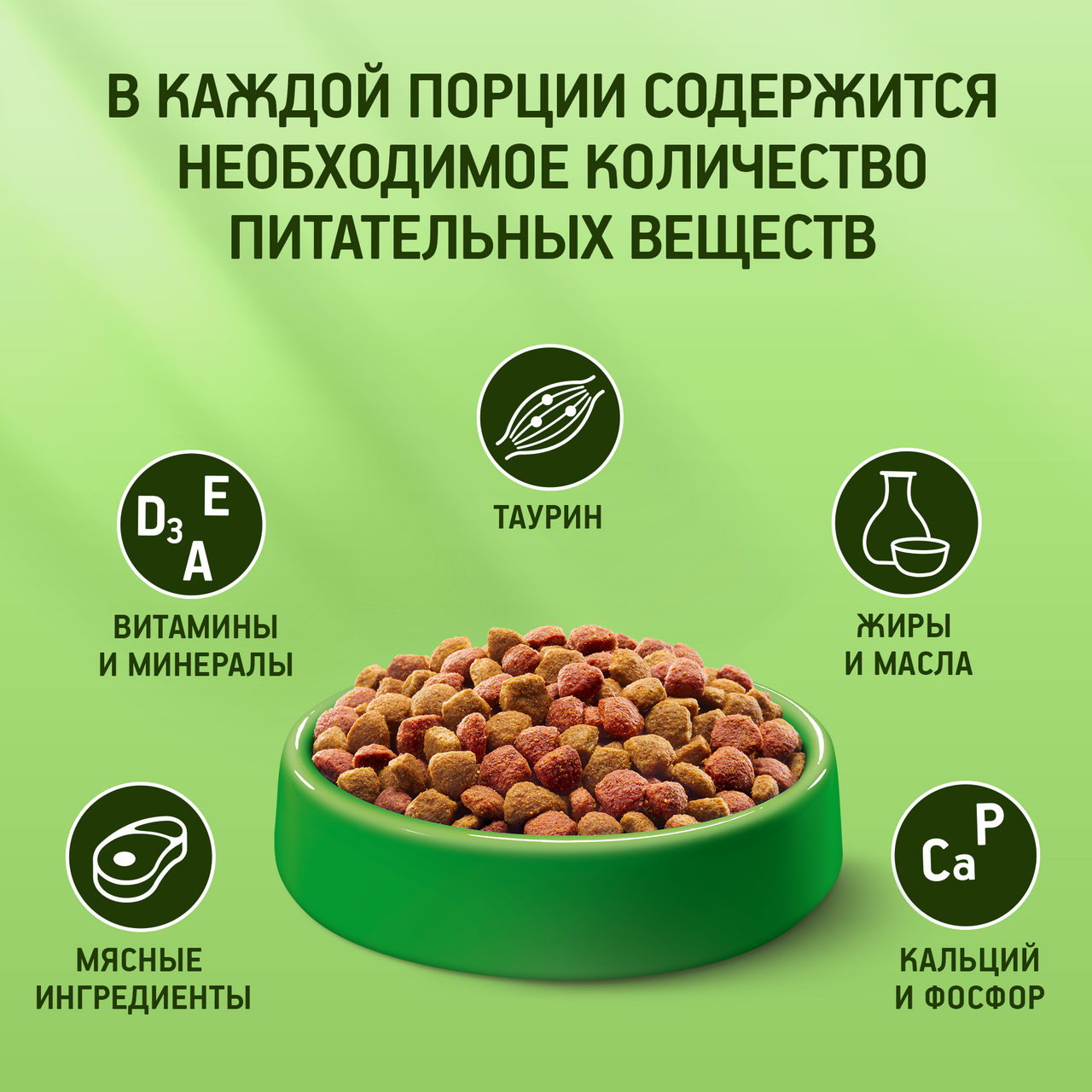

Сухой полнорационный корм Kitekat для взрослых кошек Мясной Пир 1.3 кг