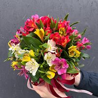Изображение 3