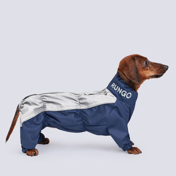 Дождевик Rungo Такса средняя мальчик синий