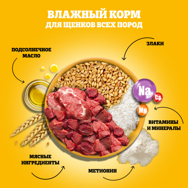 

Влажный корм Pedigree для щенков говядина в соусе 85 г