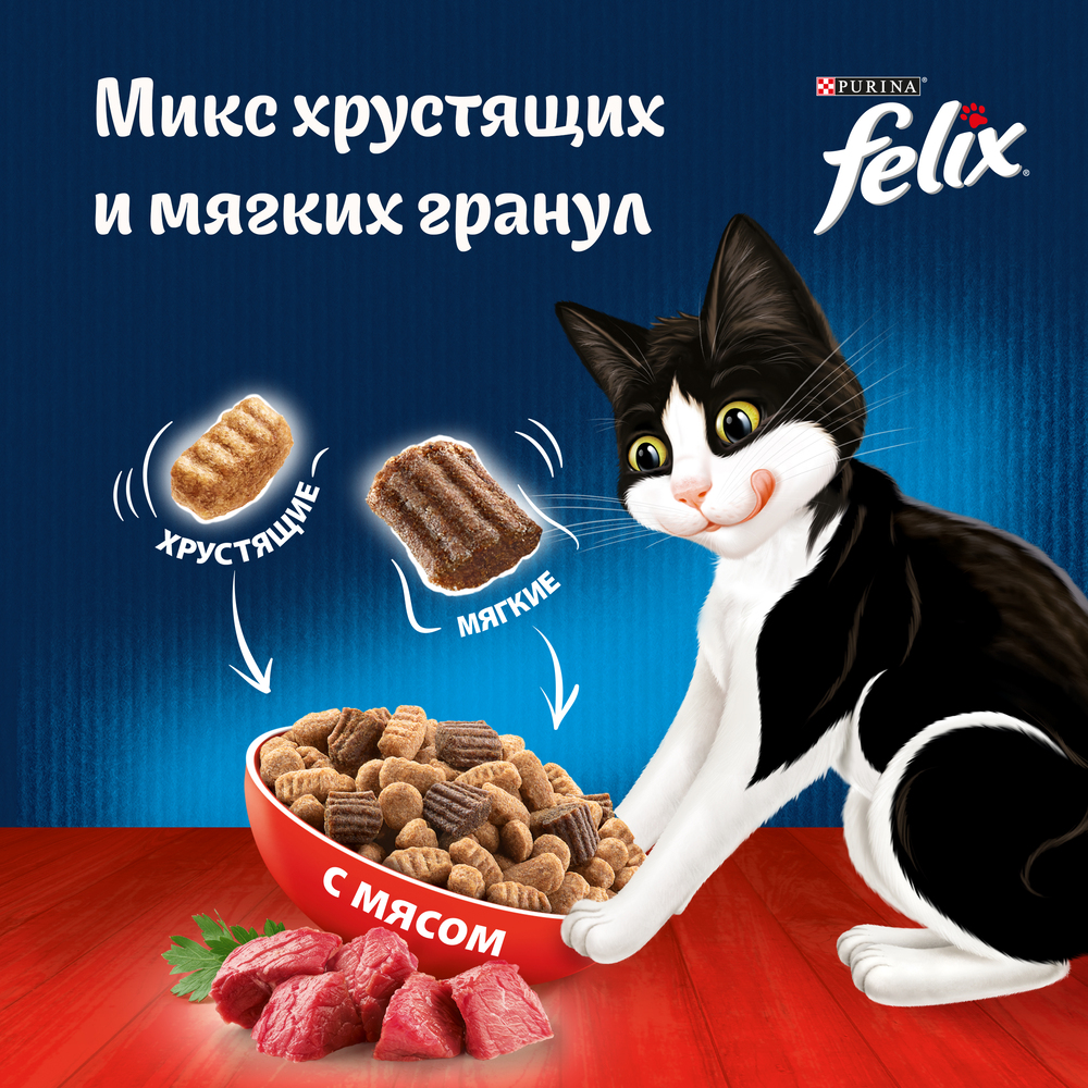 

Сухой корм Felix Двойная Вкуснятина® для взрослых кошек с мясом Пакет 1.3 кг