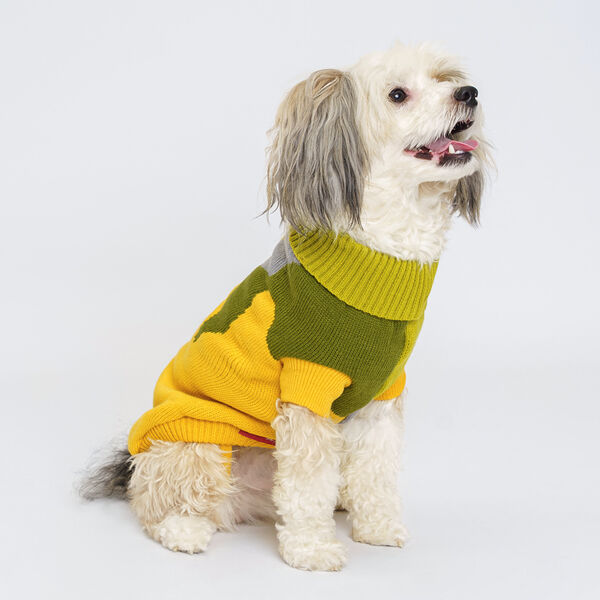 Свитер Petmax для кошек и собак горчичный L