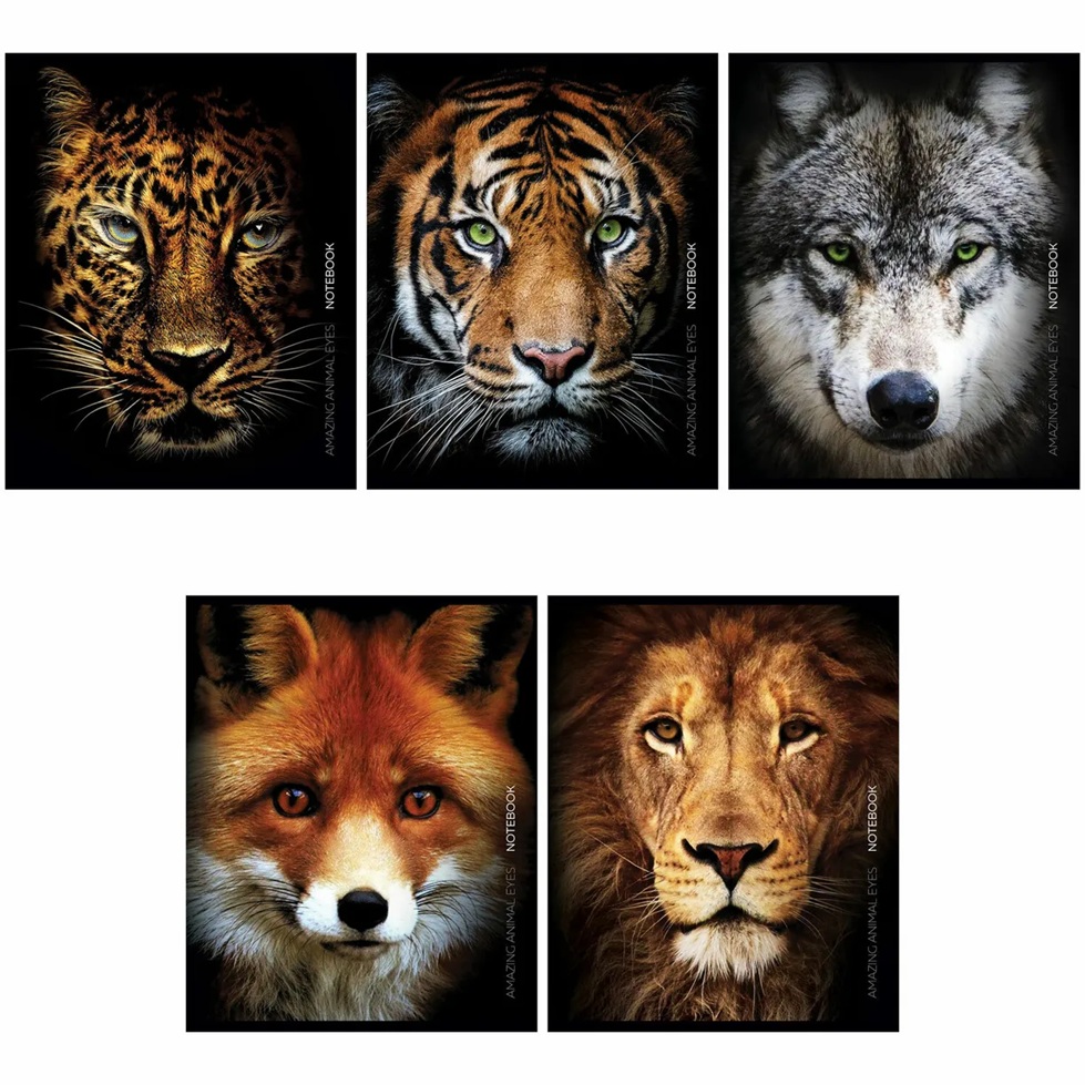 

Тетрадь Полиграф Принт Морды зверей А5 80 листов линейка 1 шт. в ассортименте