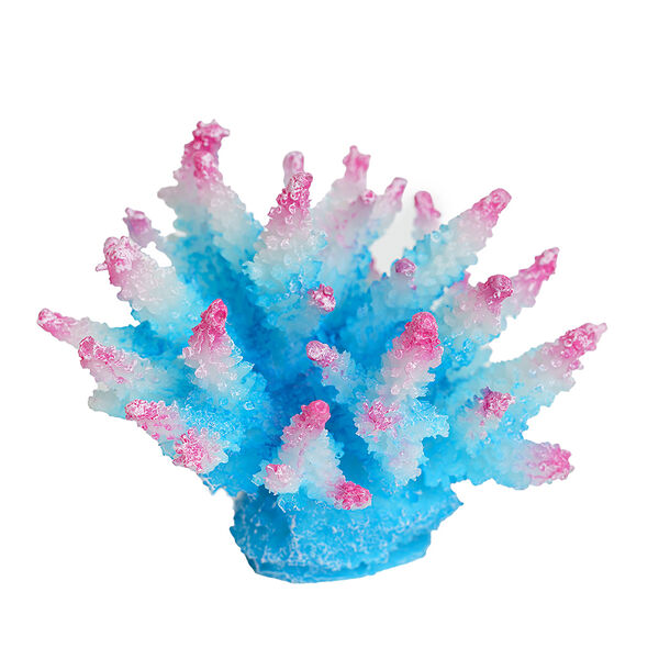 Коралл голубой 10 x 9 x 8 см