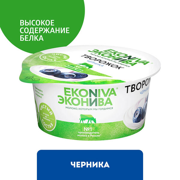 Творожок ЭкоНива с черникой 5% 125 г