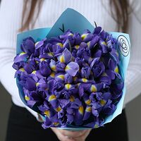 Изображение 4