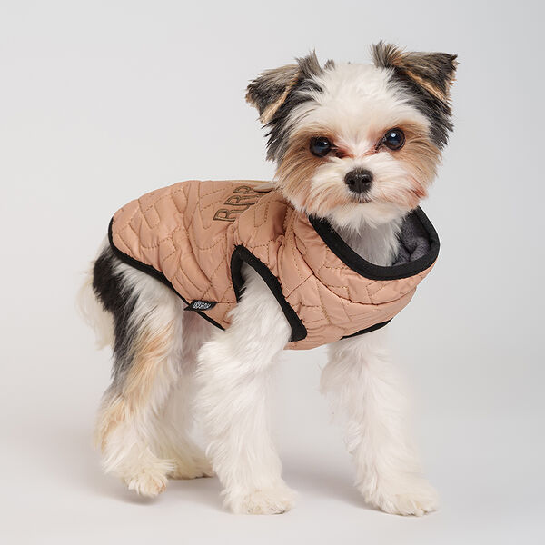 Куртка для собак Rurri на замке бежевая XS