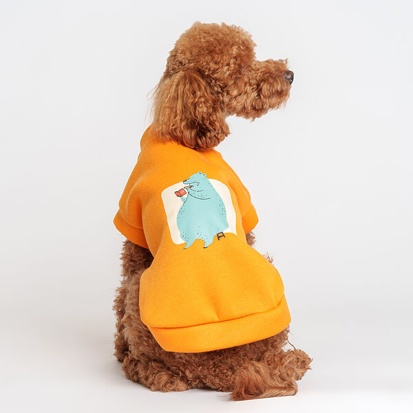 Толстовка оранжевая с медведем XL