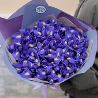 Изображение 4